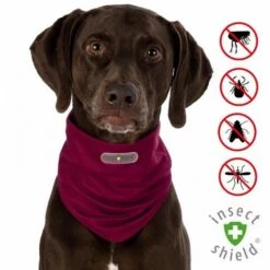 Tour De Cou Anti-insectes Et Parasites Pour Chien Désignation : Tour De Cou XL-L - Bordeaux Insect Shield 30426