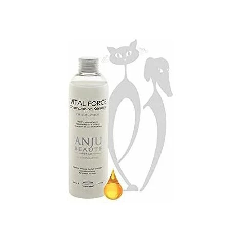 CHADOG >>volumateur Spray Texture Anju 500 Ml 1 CHADOG >>volumateur Spray Texture Anju 500 Ml