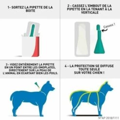 MERIAL Frontline Combo Chien 10/20 Kg Boite De 6 Pipettes Anti-puces Et Tiques 7 MERIAL Frontline Combo Chien 10/20 Kg Boite De 6 Pipettes Anti-puces Et Tiques -Anti-puces, anti-parasitaires et soins pour chien Soldes 29447040 3