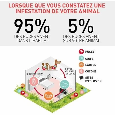 MERIAL Frontline Combo Chien 10/20 Kg Boite De 6 Pipettes Anti-puces Et Tiques 4 MERIAL Frontline Combo Chien 10/20 Kg Boite De 6 Pipettes Anti-puces Et Tiques – Image 4