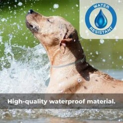BETTERLIFE BETTE Collier Réglable Anti-puces Et Tiques Pour Chiens - Imperméable - Protection Efficacité 8 Mois - Huile Essentielle Naturelle -Anti-puces, anti-parasitaires et soins pour chien Soldes 41557497 5