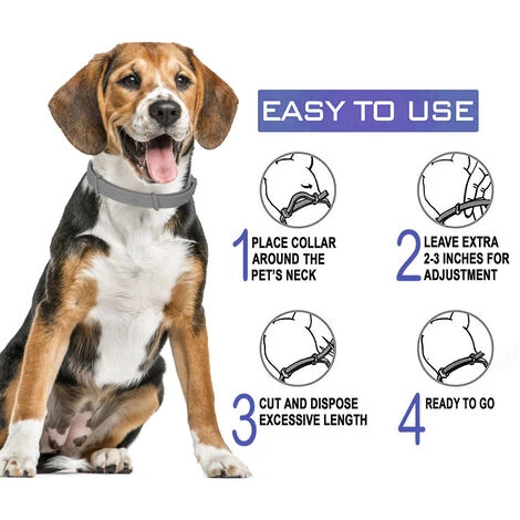 BETTERLIFE BETTE Collier Antipuces Et Anti-tiques Pour Chiens, Traitement Naturel Et Jusqu’à 8 Mois De Prévention Contre Les Puces Et Les Tiques Pour Chiens, Taille Ajustable De 62cm, Résistant à L’Eau 2 BETTERLIFE BETTE Collier Antipuces Et Anti-tiques Pour Chiens, Traitement Naturel Et Jusqu’à 8 Mois De Prévention Contre Les Puces Et Les Tiques Pour Chiens, Taille Ajustable De 62cm, Résistant à L’Eau – Image 2