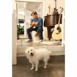 PetSafe Dissuasion Par Pulvérisation Pour Animaux Ssscat 1 M 6059A -Anti-puces, anti-parasitaires et soins pour chien Soldes 4724662 3