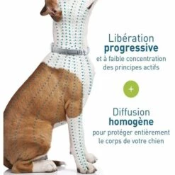 Chien – Collier Anti-Puces Et Anti-Tiques Pour Grands Chiens - 8KG Et Plus Fontainebleau -Anti-puces, anti-parasitaires et soins pour chien Soldes 51245250 3