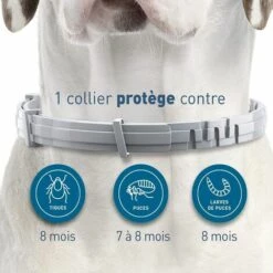 Chien – Collier Anti-Puces Et Anti-Tiques Pour Grands Chiens - 8KG Et Plus Fontainebleau -Anti-puces, anti-parasitaires et soins pour chien Soldes 51245250 5