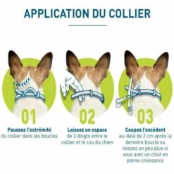 Chien–Collier Anti-Puces Et Anti-Tiques Pour Grands Chiens - 8KG Et Plus Naturel Anti Tiques Fontainebleau -Anti-puces, anti-parasitaires et soins pour chien Soldes 51245263 3