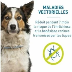 Chien–Collier Anti-Puces Et Anti-Tiques Pour Grands Chiens - 8KG Et Plus Naturel Anti Tiques Fontainebleau -Anti-puces, anti-parasitaires et soins pour chien Soldes 51245263 5