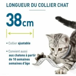 Anti-puces, anti-parasitaires et soins pour chien Soldes -Anti-puces, anti-parasitaires et soins pour chien Soldes 51246368 2