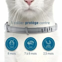 Chat - Collier Anti-Puces Et Anti-Tiques Pour Chats Anti Puces Pour Chat Naturel Anti Tiques Pour Chats Fontainebleau -Anti-puces, anti-parasitaires et soins pour chien Soldes 51246368 5