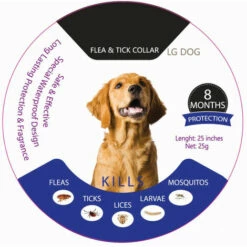 ZHUOXUAN Collier Anti-puces Et Anti-tiques Pour Chiens - Enrichi D'huiles Essentielles Naturelles - Protection - Sûr Et Sans Allergie - Réglable Et Imperméable - Repousse Les Puces, Les Tiques, Les Larves De Poux (1 Pièces)