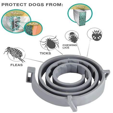 ZHUOXUAN Collier Anti-puces Et Anti-tiques Pour Chat, 38 Cm. 2 ZHUOXUAN Collier Anti-puces Et Anti-tiques Pour Chat, 38 Cm. – Image 2