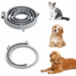 ZHUOXUAN Collier Anti-puces Et Anti-tiques Pour Chien, 38 Cm Pour Animaux De Compagnie -Anti-puces, anti-parasitaires et soins pour chien Soldes 51460127 4