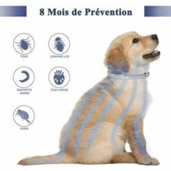LANGRAY Lot De 2 Collier Anti-puces Et Anti-tiques Pour Chien Et Chat,Traitement Anti Tique Et Puce, Étanche Pour,Taille Réglable(62cm) -Anti-puces, anti-parasitaires et soins pour chien Soldes 53313231 5
