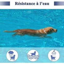 LANGRAY Collier Anti-puces Et Anti-tiques Pour Chien Et Chat,Traitement Anti Tique Et Puce, Étanche Pour,Taille Réglable(62cm) -Anti-puces, anti-parasitaires et soins pour chien Soldes 53313232 4