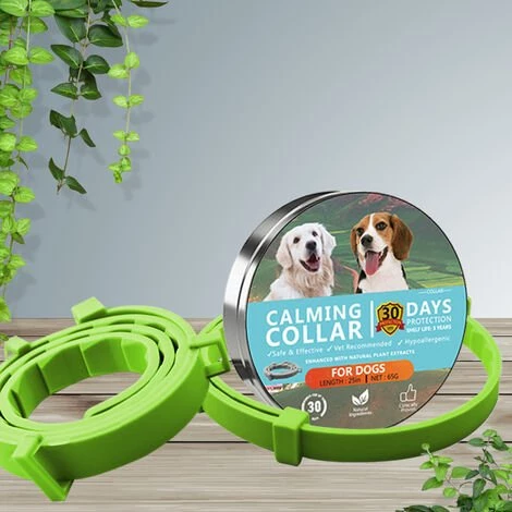 AIDUCHO Collier Anti Puces Pour Chien, Collier Antiparasitaire Chien Imperméable Convient à Tous Les Chiens (63cm) Vert 1 AIDUCHO Collier Anti Puces Pour Chien, Collier Antiparasitaire Chien Imperméable Convient à Tous Les Chiens (63cm) Vert