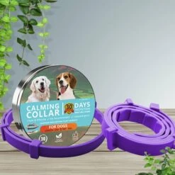 AIDUCHO Collier Anti Puces Pour Chien, Collier Antiparasitaire Chien Imperméable Convient à Tous Les Chiens (63cm) Violet