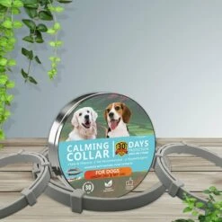 AIDUCHO Collier Anti Puces Pour Chien, Collier Antiparasitaire Chien Imperméable Convient à Tous Les Chiens (63cm) Gris