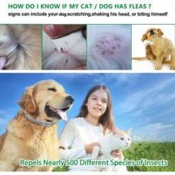 PERLE RARE Collier Anti-puces Et Anti-tiques Pour Chiens Et Chats - 63 Cm - Réglable Et étanche -Anti-puces, anti-parasitaires et soins pour chien Soldes 54847587 4