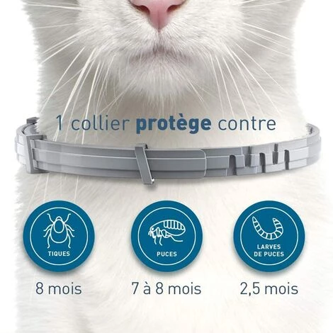 SUPERMARKET Collier Anti-Puces Et Anti-Tiques Pour Chats – 2 Colliers,Superma 2 SUPERMARKET Collier Anti-Puces Et Anti-Tiques Pour Chats – 2 Colliers,Superma – Image 2