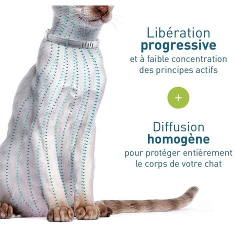 SUPERMARKET Collier Anti-Puces Et Anti-Tiques Pour Chats – 2 Colliers,Superma 3 SUPERMARKET Collier Anti-Puces Et Anti-Tiques Pour Chats – 2 Colliers,Superma – Image 3