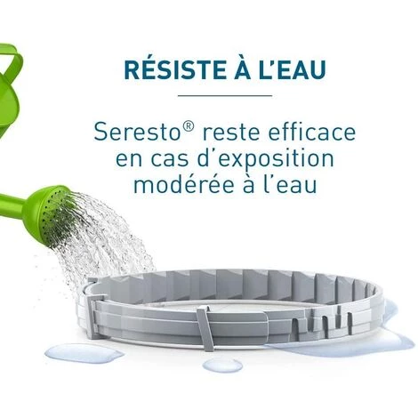 SUPERMARKET Collier Anti-Puces Et Anti-Tiques Pour Chats – 2 Colliers,Superma 5 SUPERMARKET Collier Anti-Puces Et Anti-Tiques Pour Chats – 2 Colliers,Superma – Image 5