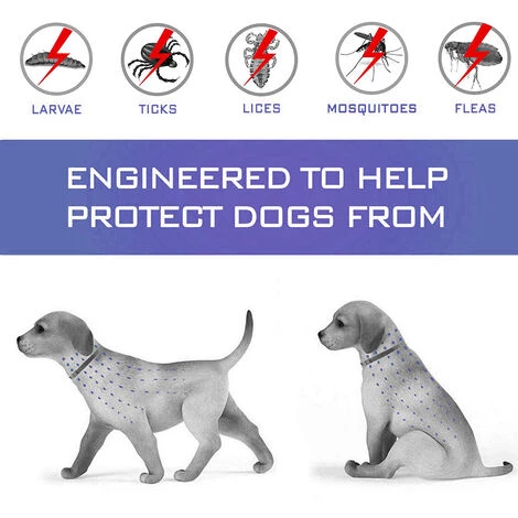 Betterlife Collier Antipuces Et Anti-tiques Pour Chiens, Traitement Naturel Et Jusqu’à 8 Mois De Prévention Contre Les Puces Et Les Tiques Pour Chiens, Taille Ajustable De 62cm, Résistant à L’Eau 2 Betterlife Collier Antipuces Et Anti-tiques Pour Chiens, Traitement Naturel Et Jusqu’à 8 Mois De Prévention Contre Les Puces Et Les Tiques Pour Chiens, Taille Ajustable De 62cm, Résistant à L’Eau – Image 2