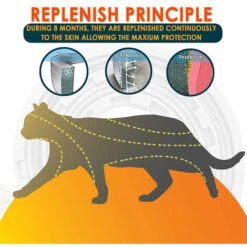 Betterlife Collier Antipuces Et Anti-tiques Pour Chiens, Traitement Naturel Et Jusqu’à 8 Mois De Prévention Contre Les Puces Et Les Tiques Pour Chiens, Taille Ajustable De 62cm, Résistant à L’Eau 7 Betterlife Collier Antipuces Et Anti-tiques Pour Chiens, Traitement Naturel Et Jusqu’à 8 Mois De Prévention Contre Les Puces Et Les Tiques Pour Chiens, Taille Ajustable De 62cm, Résistant à L’Eau -Anti-puces, anti-parasitaires et soins pour chien Soldes 55053626 3