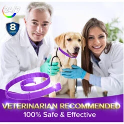 Traitement Antipuces Pour Chiens,Betterlife Collier Antiparasitaire Pour Chien, Collier Antipuces Réglable Pour Chien, 8 Mois De Protection Contre Les Tiques Pour Chiots, Collier Anti Poux Et Antitiques -Anti-puces, anti-parasitaires et soins pour chien Soldes 55053627 3