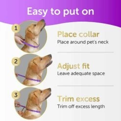 Traitement Antipuces Pour Chiens,Betterlife Collier Antiparasitaire Pour Chien, Collier Antipuces Réglable Pour Chien, 8 Mois De Protection Contre Les Tiques Pour Chiots, Collier Anti Poux Et Antitiques -Anti-puces, anti-parasitaires et soins pour chien Soldes 55053627 5