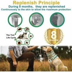 Collier Antiparasitaire Pour Chiens,Betterlife Collier Anti-Puces Et Anti-Tiques Pour Chiens Tiques Collier Anti-puces Et Anti-tiques Ajustable Et Imperméable 8 Mois Protection Taille Unique (2pcs) -Anti-puces, anti-parasitaires et soins pour chien Soldes 55053629 4