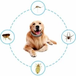 Collier Antiparasitaire Pour Chiens,Betterlife Collier Anti-Puces Et Anti-Tiques Pour Chiens Tiques Collier Anti-puces Et Anti-tiques Ajustable Et Imperméable 8 Mois Protection Taille Unique (2pcs) -Anti-puces, anti-parasitaires et soins pour chien Soldes 55053629 5