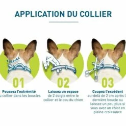 VERSAILLESFR Colliers Anti-Puces Et Anti-Tiques Pour Grands Chiens – Plus De 8 Kg – 2 Colliers,Versailles -Anti-puces, anti-parasitaires et soins pour chien Soldes 55060830 3