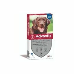 BAYER Advantix Tuyaux Anti-parasitos, Puces Et Tiques Pour Les Gros Chiens (+25 Kg) - 4 Pipetas X 4,0 Ml