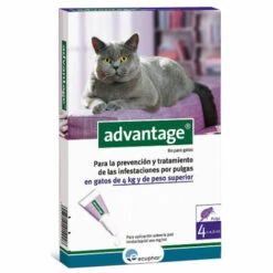 ECUPHAR AVANTAGE 80, Pipettes Antiparasitaires Chats + 4 Kg, Box 4 UDS