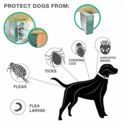 Collier Antiparasitaire Pour Chiens,(3 Pack) Collier Anti-Puces Et Anti-Tiques,Ajustable Et Imperméable,Protection Efficace Pendant 8 Mois-Macaron -Anti-puces, anti-parasitaires et soins pour chien Soldes 55916104 3