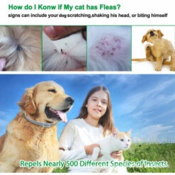 Collier Antiparasitaire Pour Chiens,(3 Pack) Collier Anti-Puces Et Anti-Tiques,Ajustable Et Imperméable,Protection Efficace Pendant 8 Mois-Macaron -Anti-puces, anti-parasitaires et soins pour chien Soldes 55916104 5