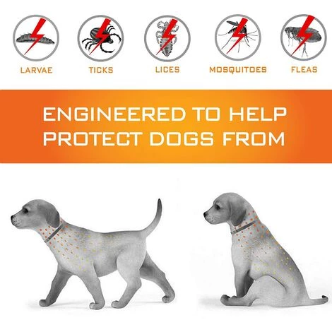 CADEAUX Collier Naturel Antipuces Anti-Tiques - Chiens/Chats, Résistant à L’Eau, Ajustable Et Naturel - Efficace Puces,Tiques. Jusqu'à 8 Mois De Protection - Antiparasitaire (L - Jusqu'à 62 CM) 3 CADEAUX Collier Naturel Antipuces Anti-Tiques - Chiens/Chats, Résistant à L’Eau, Ajustable Et Naturel - Efficace Puces,Tiques. Jusqu'à 8 Mois De Protection - Antiparasitaire (L - Jusqu'à 62 CM) – Image 3