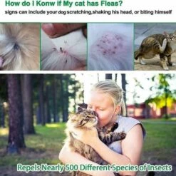 LONGZIMING Collier Anti-Insectes Pour Animaux De Compagnie, Les Chats Et Les Chiens Peuvent être Ajustés. Collier Anti-moustiques Anti-puces, Collier Anti-poux Et Anti-tiques, Pour Petit, Moyen, Grand Chiot. -Anti-puces, anti-parasitaires et soins pour chien Soldes 56760666 5