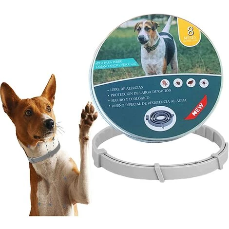 LONGZIMING Collier Anti Puces Et Anti-tiques,Collier Antiparasitaire Pour Chiens,Collier Anti-Puces Et Anti-Tiques Pour Chiens,Collier Anti-puces Tique Convient Aux Chiots - Durée 8 Mois - 63 (Boîte En Fer) 1 LONGZIMING Collier Anti Puces Et Anti-tiques,Collier Antiparasitaire Pour Chiens,Collier Anti-Puces Et Anti-Tiques Pour Chiens,Collier Anti-puces Tique Convient Aux Chiots - Durée 8 Mois - 63 (Boîte En Fer)