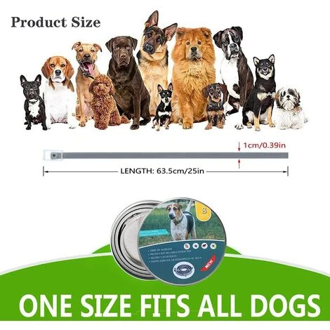 LONGZIMING Collier Anti Puces Et Anti-tiques,Collier Antiparasitaire Pour Chiens,Collier Anti-Puces Et Anti-Tiques Pour Chiens,Collier Anti-puces Tique Convient Aux Chiots - Durée 8 Mois - 63 (Boîte En Fer) 2 LONGZIMING Collier Anti Puces Et Anti-tiques,Collier Antiparasitaire Pour Chiens,Collier Anti-Puces Et Anti-Tiques Pour Chiens,Collier Anti-puces Tique Convient Aux Chiots - Durée 8 Mois - 63 (Boîte En Fer) – Image 2