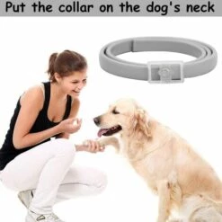LONGZIMING Collier Anti-puces Et Tiques Pour Chien, Collier Antipuces Et Antitiques Pour Chiens Collier Collier Réglable 8 Mois De Prévention Contre Les Puces 7 LONGZIMING Collier Anti-puces Et Tiques Pour Chien, Collier Antipuces Et Antitiques Pour Chiens Collier Collier Réglable 8 Mois De Prévention Contre Les Puces -Anti-puces, anti-parasitaires et soins pour chien Soldes 56760746 3