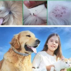 LONGZIMING Collier Anti-puces Et Tiques Pour Chien, Collier Antipuces Et Antitiques Pour Chiens Collier Collier Réglable 8 Mois De Prévention Contre Les Puces 8 LONGZIMING Collier Anti-puces Et Tiques Pour Chien, Collier Antipuces Et Antitiques Pour Chiens Collier Collier Réglable 8 Mois De Prévention Contre Les Puces -Anti-puces, anti-parasitaires et soins pour chien Soldes 56760746 4