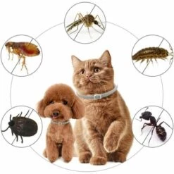 LONGZIMING Collier Anti-puces Et Tiques Pour Chien, Collier Antipuces Et Antitiques Pour Chiens Collier Collier Réglable 8 Mois De Prévention Contre Les Puces 9 LONGZIMING Collier Anti-puces Et Tiques Pour Chien, Collier Antipuces Et Antitiques Pour Chiens Collier Collier Réglable 8 Mois De Prévention Contre Les Puces -Anti-puces, anti-parasitaires et soins pour chien Soldes 56760746 5