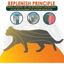 LONGZIMING Collier Anti Puces Pour Chien, Collier Anti-Puces Et Anti-Tiques Ajustable Et ImperméAble, 8 Mois Protection En SéCurité IngréDients Control Pour Petit Moyen Grand Chien(62/2pcs) -Anti-puces, anti-parasitaires et soins pour chien Soldes 56762748 4