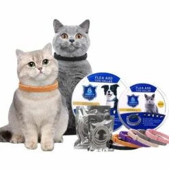 CADEAUX Collier Anti-puces Et Anti-tiques Pour Chiens, 8 Mois Collier Anti-puces Et Anti-tiques Pour Grands Chiens, Plus De 18 Livres ORANEGS -Anti-puces, anti-parasitaires et soins pour chien Soldes 56807226 3