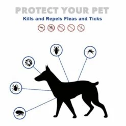 CADEAUX Collier Anti-puces Et Anti-tiques Pour Chiens, 8 Mois Collier Anti-puces Et Anti-tiques Pour Grands Chiens, Plus De 18 Livres ORANEGS -Anti-puces, anti-parasitaires et soins pour chien Soldes 56807226 5