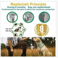 CADEAUX Collier Anti Puces Pour Chien, Collier Anti Tiques, Imperméable 38cm Collier Antiparasitaire Huiles Naturelles Pour 8 Mois De Protection (2 Packs) -Anti-puces, anti-parasitaires et soins pour chien Soldes 57016225 4