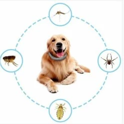 CADEAUX Collier Anti Puces Pour Chien, Collier Anti Tiques, Imperméable 38cm Collier Antiparasitaire Huiles Naturelles Pour 8 Mois De Protection (2 Packs) -Anti-puces, anti-parasitaires et soins pour chien Soldes 57016225 5