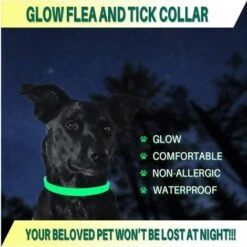 CADEAUX Collier Anti-puces Et Anti-tiques Pour Chiens Et Chats,Brillant Dans L'obscurité, Taille Imperméable Et Réglable, Protection De 8 Mois, 2 Paquet(15 Pouces) -Anti-puces, anti-parasitaires et soins pour chien Soldes 57016238 3