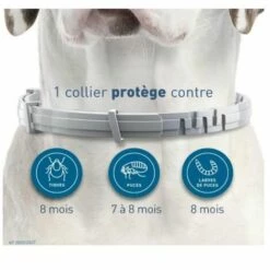 STARLIGHT SL.GT Collier Anti-Puces Et Anti-Tiques Pour Petits Chiens - Moins De 8KG -Anti-puces, anti-parasitaires et soins pour chien Soldes 57238653 3